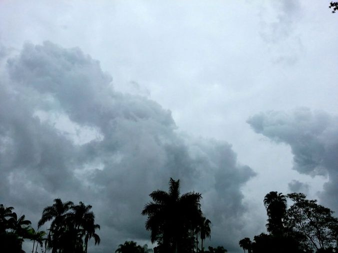 980576_10201163992120378_1825894827_o