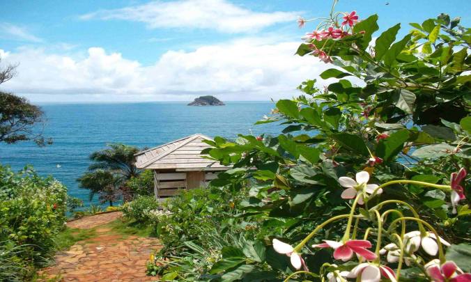 965199_576839655679835_417901786_o