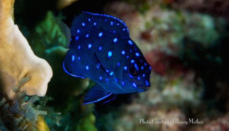 1979188_10202370197592761_628462489_o