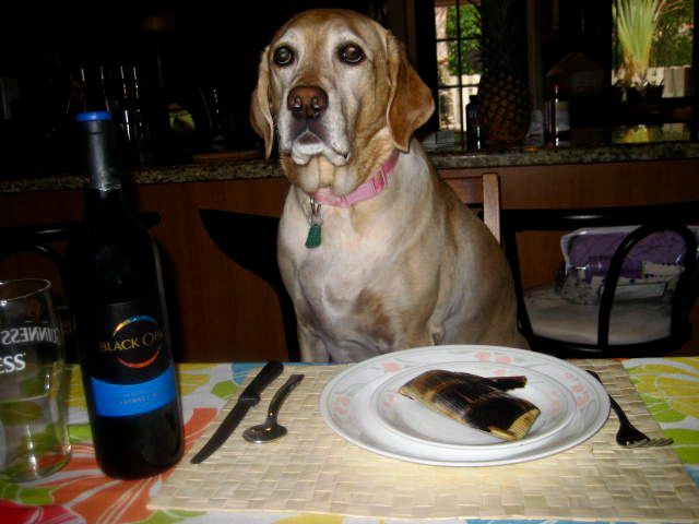 263119_1976423322865_2373999A_n