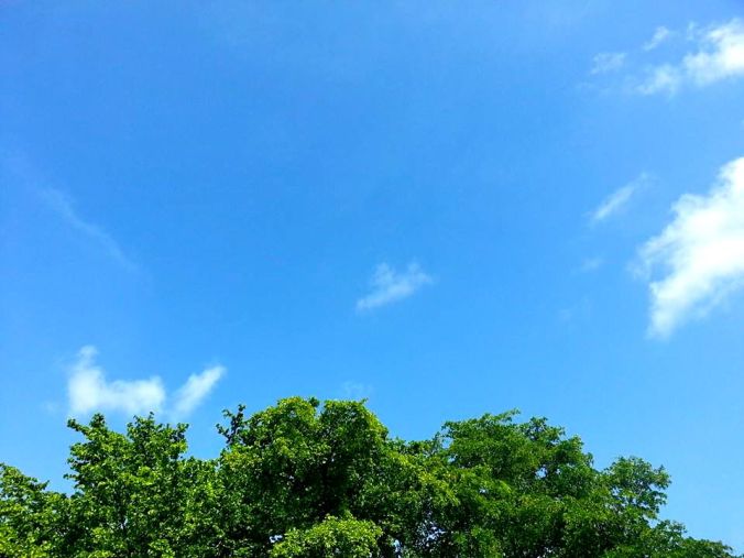 10354683_10204068836739678_7439111682903819126_n