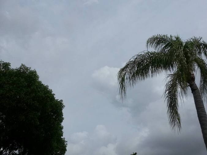 11391536_10206705480014112_A5505396013662689793_n