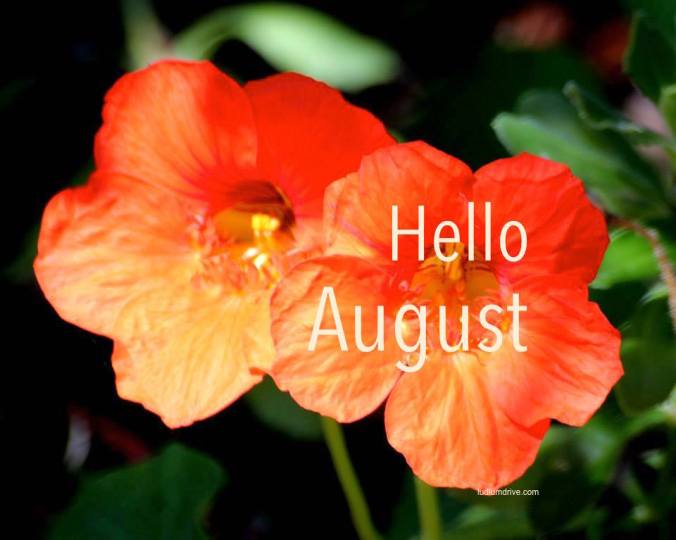 312266_563340460355313_1013769909_n copy