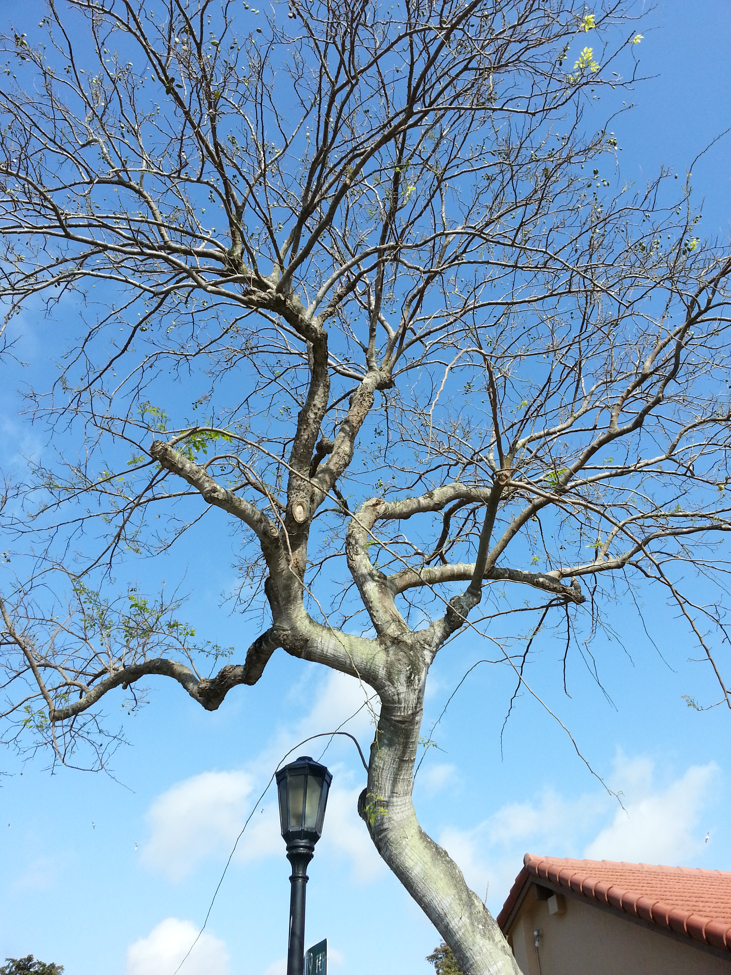 20130323_100857 copy