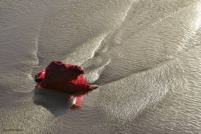 13217045_1085586224797398_3402335127053024595_o