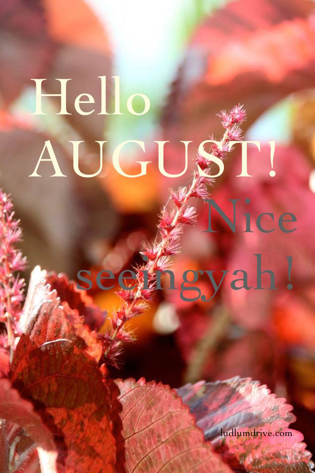 10273699_726743697348321_3829534956118905083_n copy