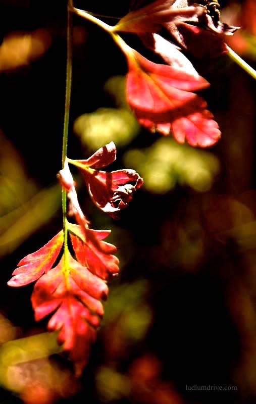 13769573_1126180700737950_A1538150011686130359_n