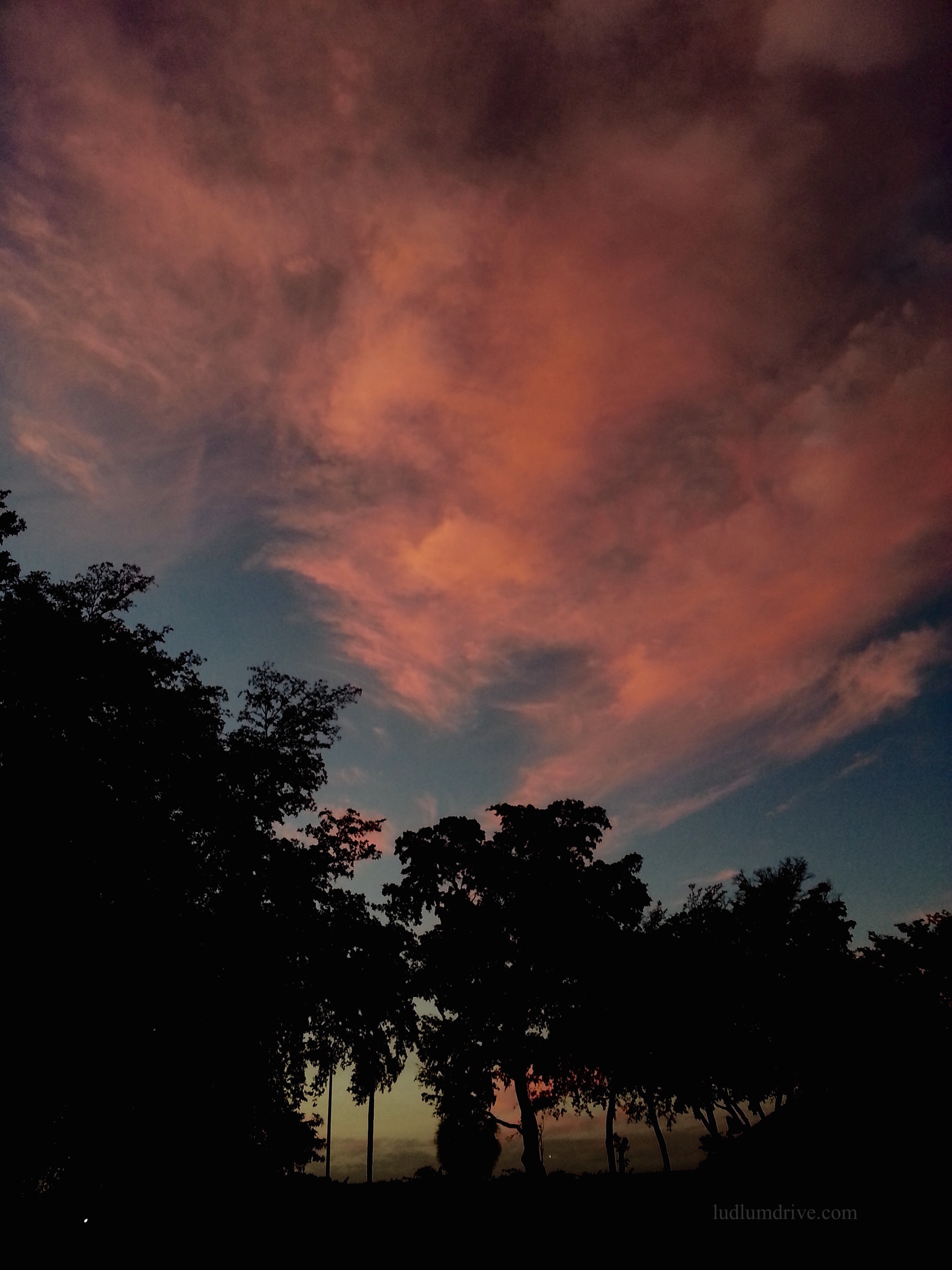 20170327_194251 copy.jpg