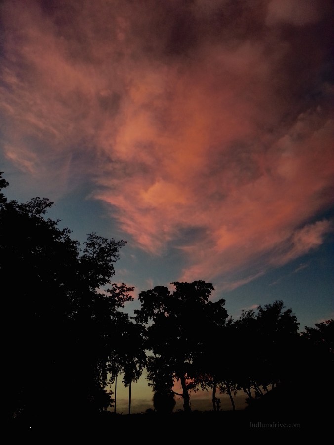 20170327_194251 copy.jpg