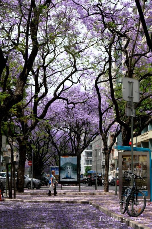 18835847_1418469654842385_5807930906490074185_n copy