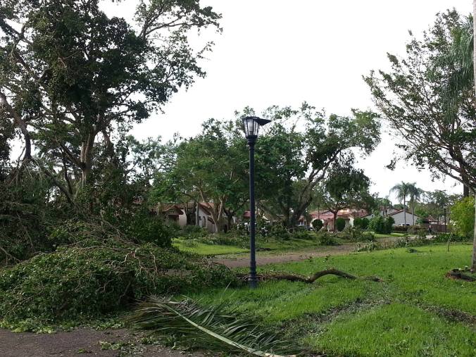 21728774_10155275330478705_3201073521769039197_o