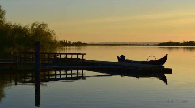 17554523_1354266214596063_51983188527812454_n copy