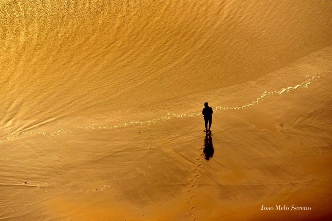 57070905_2210044352351574_3797144878035501056_n