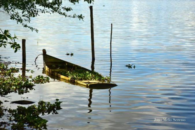 57581543_2221440314545311_1517906266347798528_n