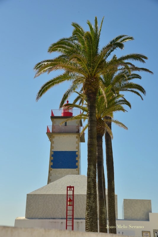 60535305_2257433357612673_5695651651298263040_n copy