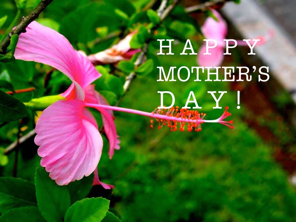 mother's day