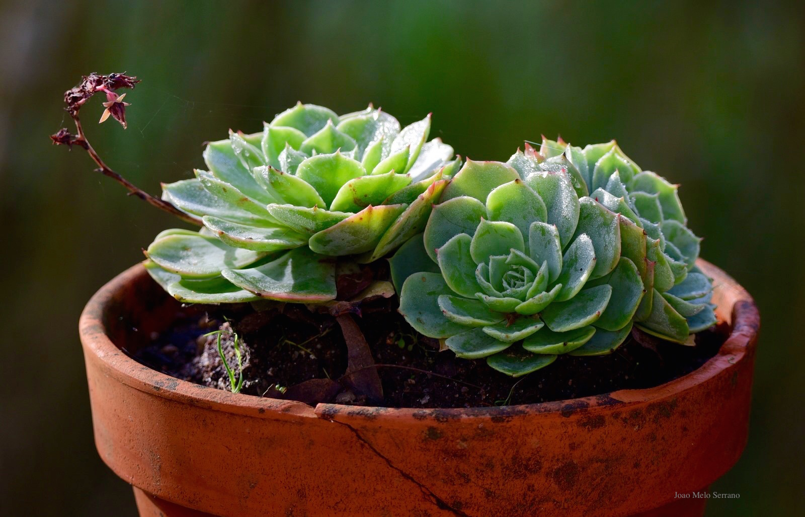 80788770_2693404320682239_1905585214374019072_o (1)