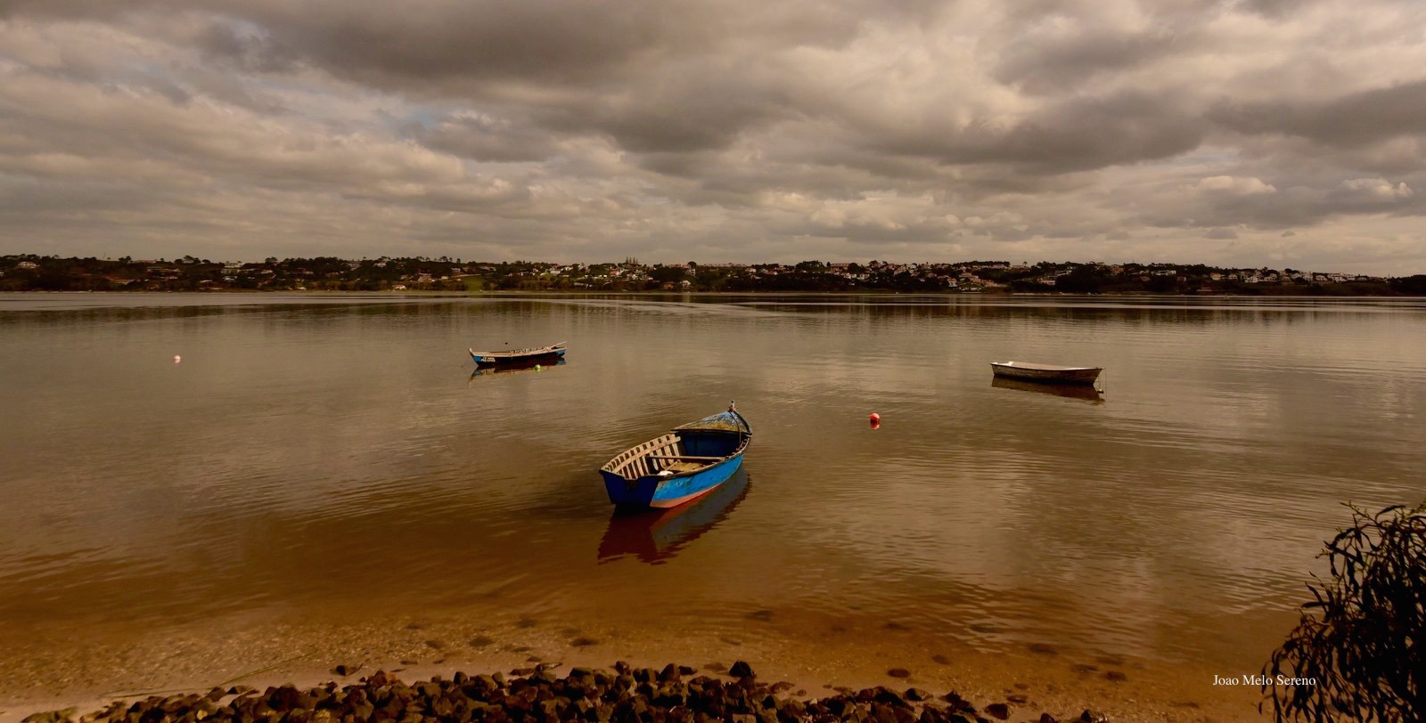 83897130_2761868763835794_8692489254158204928_o (1)