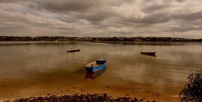 83897130_2761868763835794_8692489254158204928_o (1)